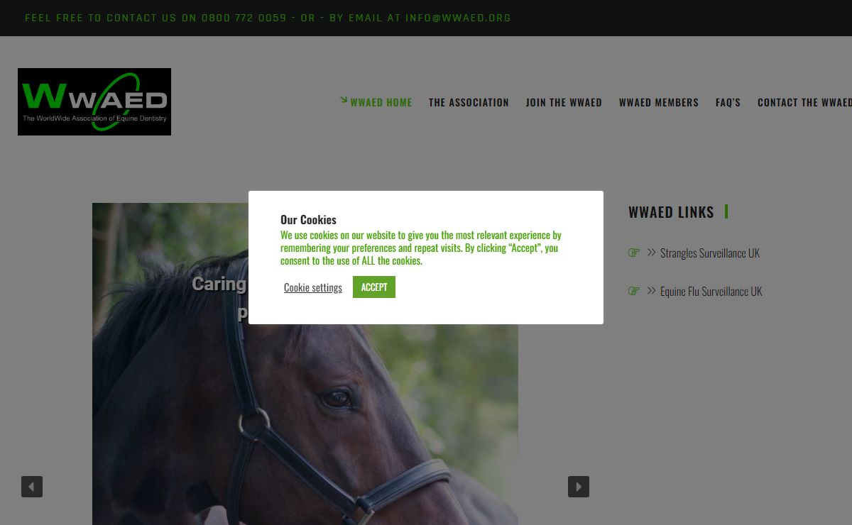WorldWide Association of Equine Dentistry - The WorldWide Association of Equine Dentistry