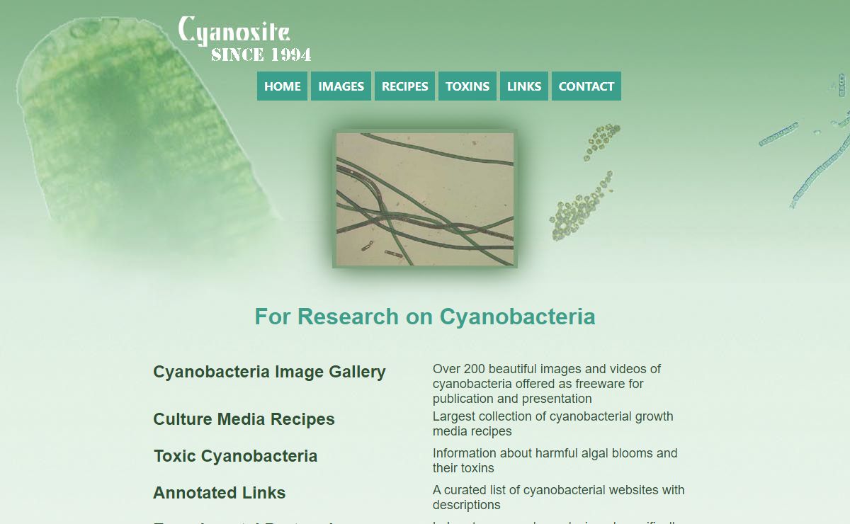 Cyanosite For Cyanobacteria, The Blue-green Algae