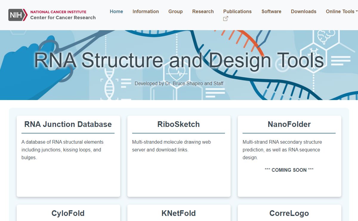 RNA Structure