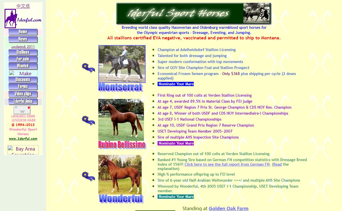 Wonderful Sport Horses - Warmblood Stallions for Dressage, Eventing and Jumping!!!