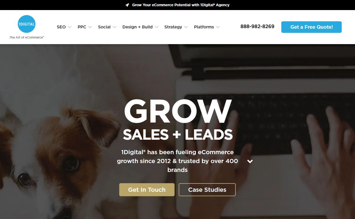 eCommerce Digital Agency | SEO & PPC | Design & Development