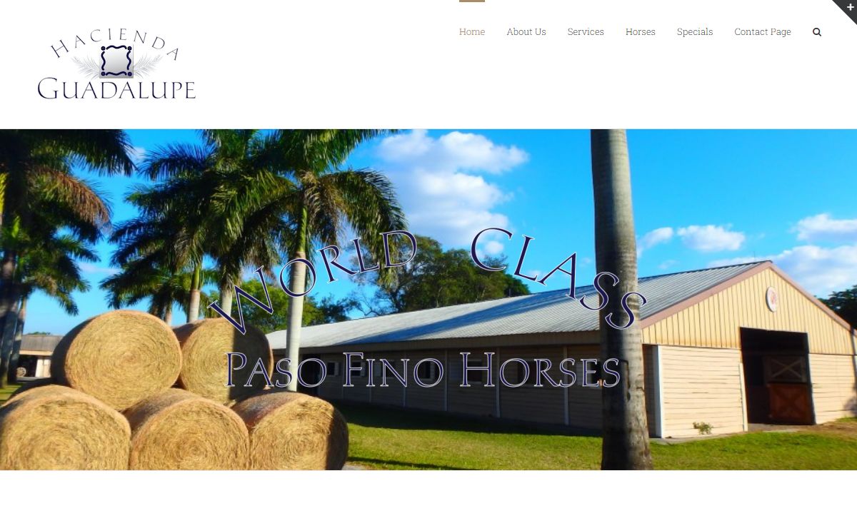Hacienda Guadalupe – Paso Fino Horses For Sale