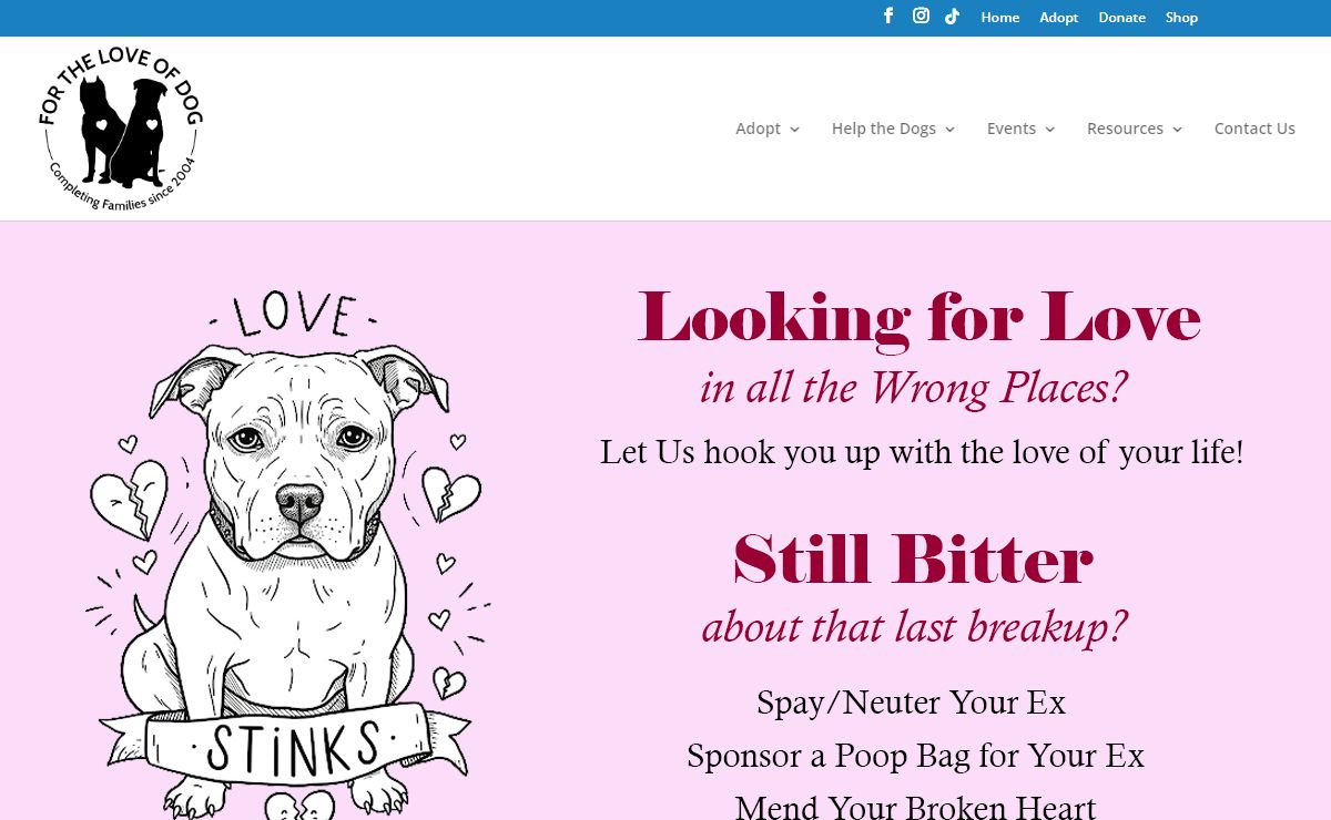 Rottweiler & Pitbull Dog Rescue New England | Completing families since 2004