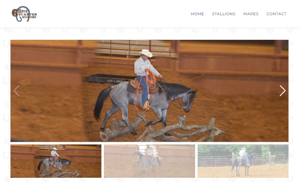 Shoequarterhorses