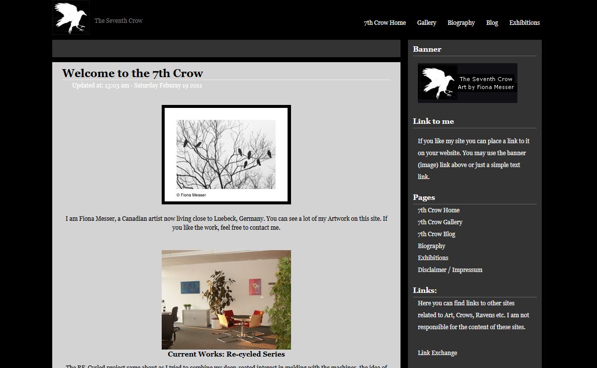 The Seventh Crow by Fiona Messer