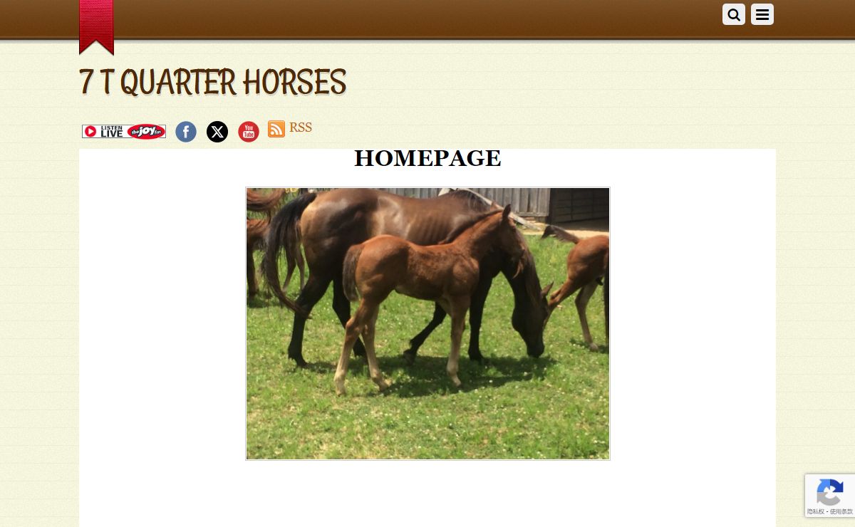 HOMEPAGE - 7 T QUARTER HORSES