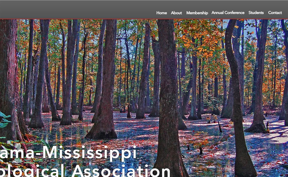 AL-MS Sociological Association | A-MSA