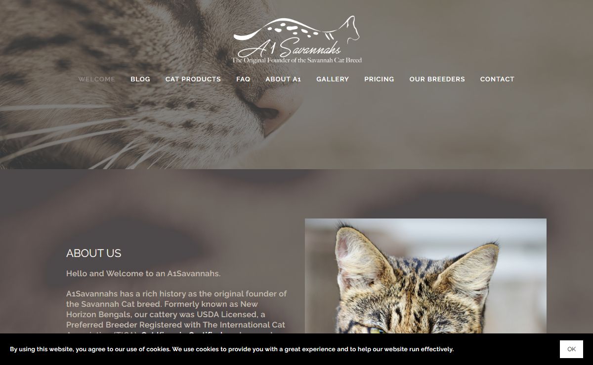 A1 Savannahs - The Original Founder of The Savannah Cat Breed