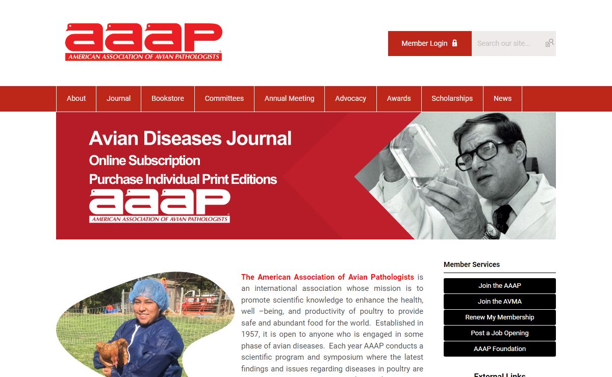 Learn About AAAP