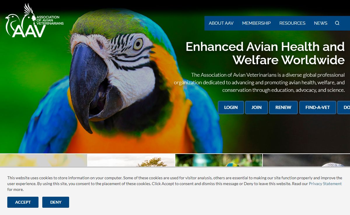 Association of Avian Veterinarians