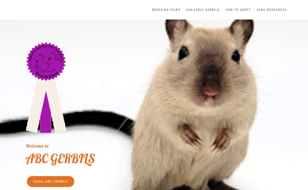 ABC Gerbils