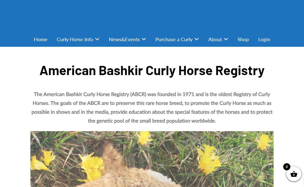 American Bashkir Curly Horse Registry - ABCR