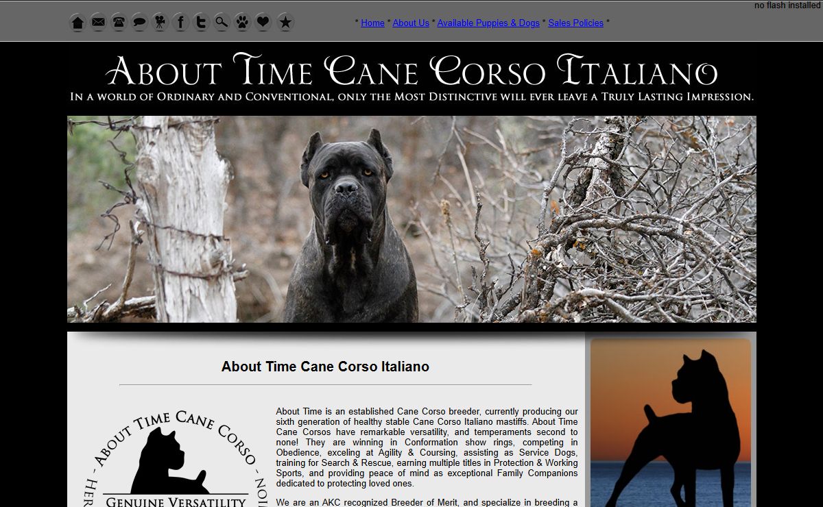 About Time Cane Corso Italiano - Breeder of Show, Working, Service, and Companion Dogs & Puppies