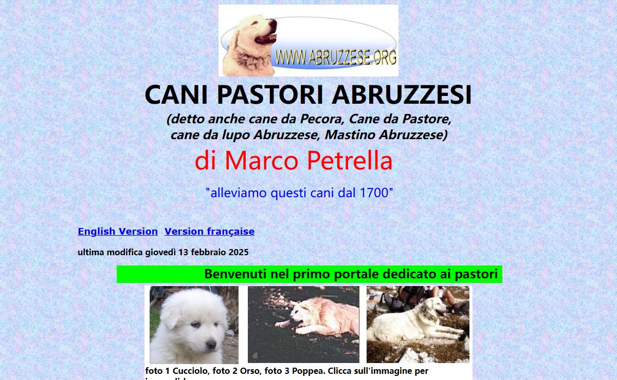 Cani Pastori Abruzzesi di Marco Petrella, Pratola Peligna Italia. Abruzzese shepherd dog, La storia del cane Pastore Abruzzese, consigli foto ed altro.