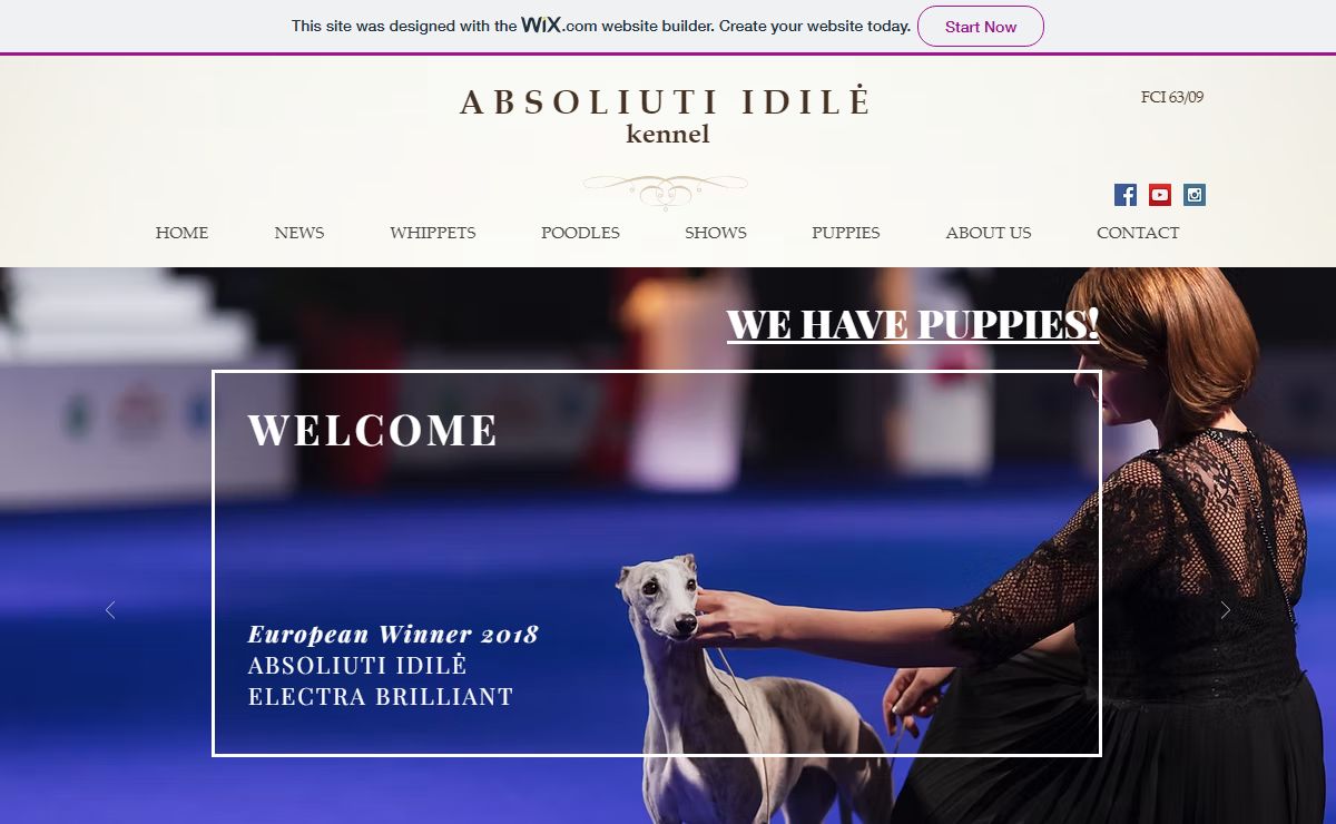 absoliuti-idile.com