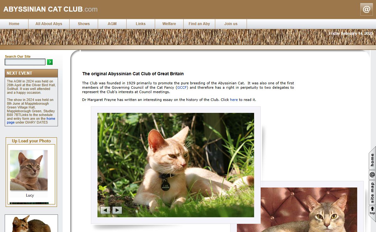 Abyssinian Cat Club of Great Britain