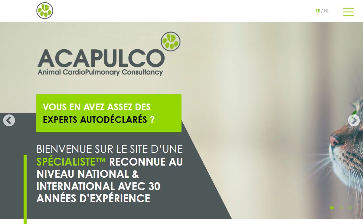 Acapulco – Médecine vétérinaire cardio respiratoire