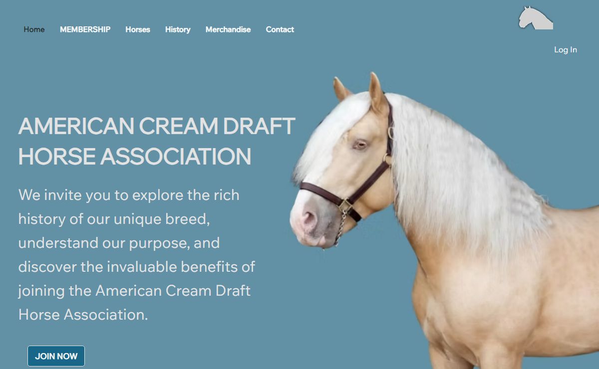 Home | American Cream Draft Horse Association