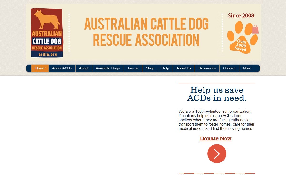 Australian Cattle Dog Rescue Association | ACDRA
