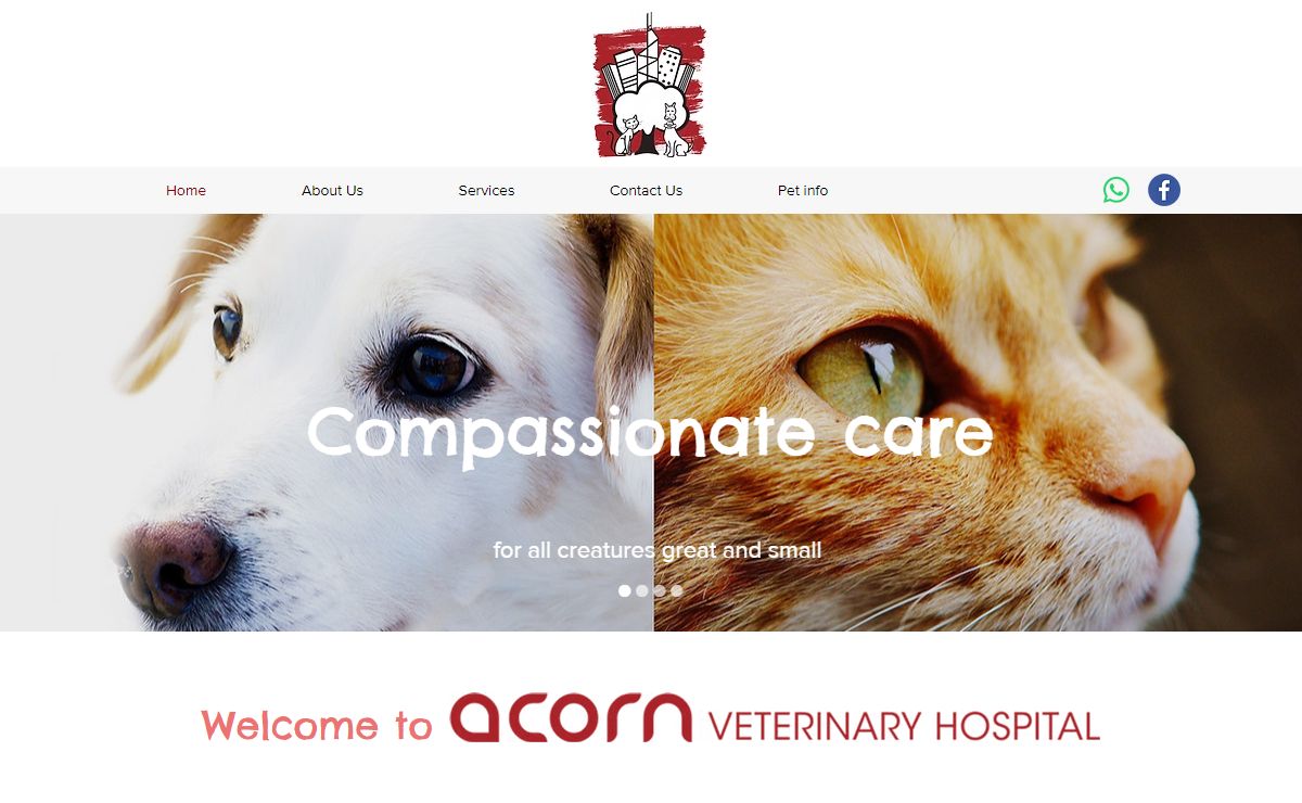 Hong Kong | Acorn Veterinary Hospital