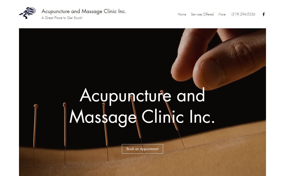 Acupuncture | Acupuncture and Massage Clinic Inc. | United States