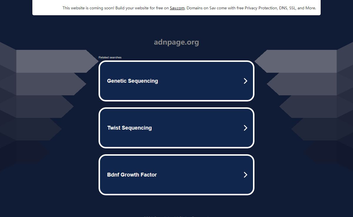 adnpage.org