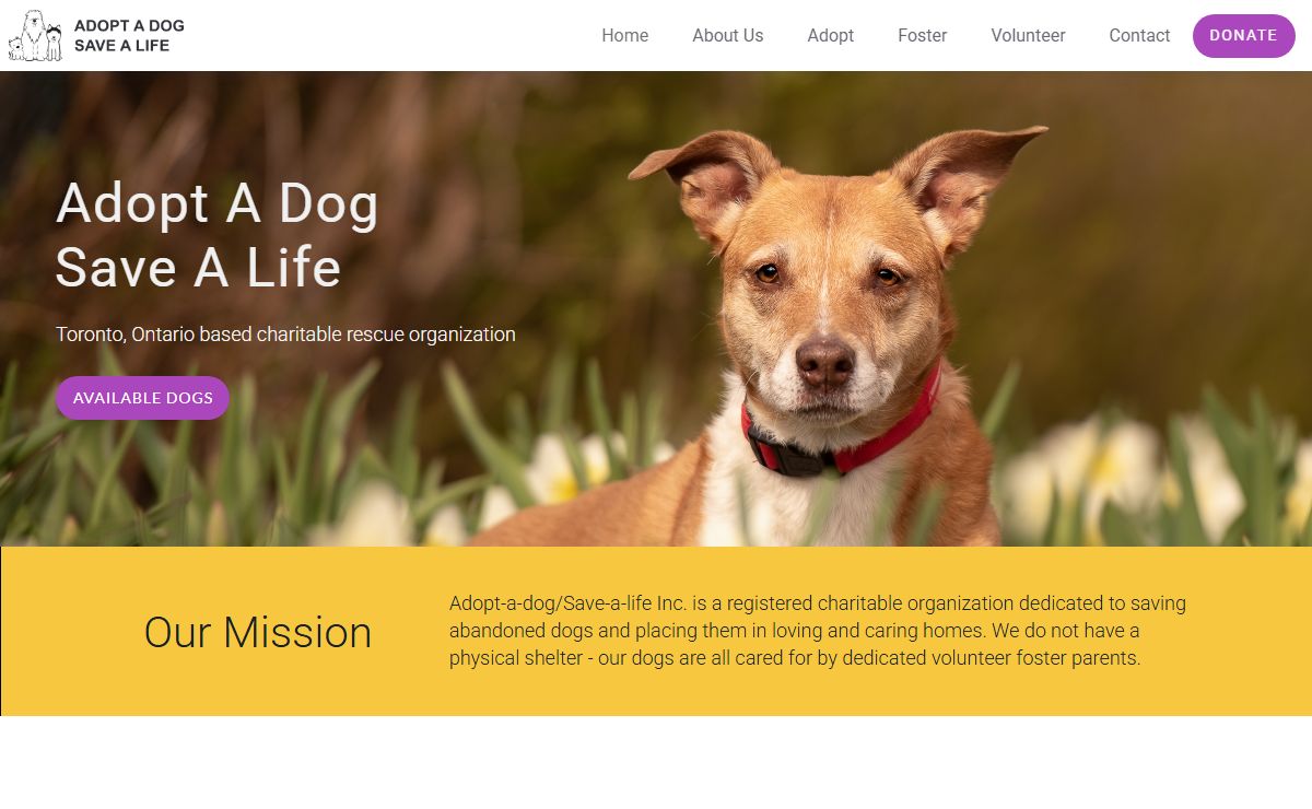 Adopt a Dog Save a Life