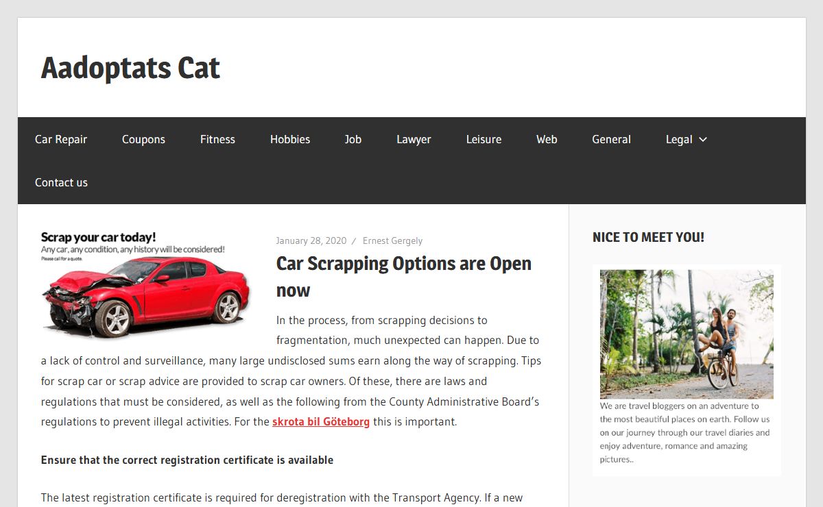 Aadoptats Cat