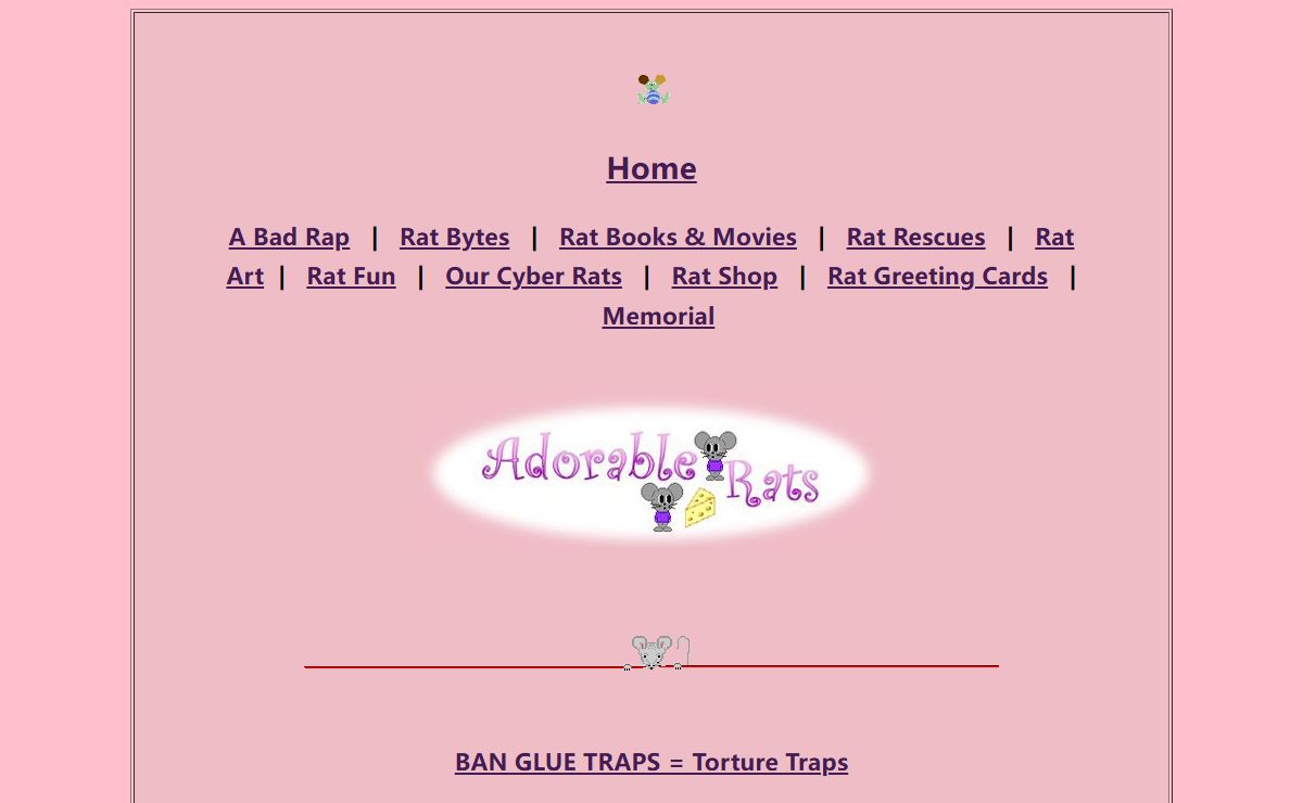 Adorable Rats - Pet Rats are Fun, Lovable, and Intelligent
