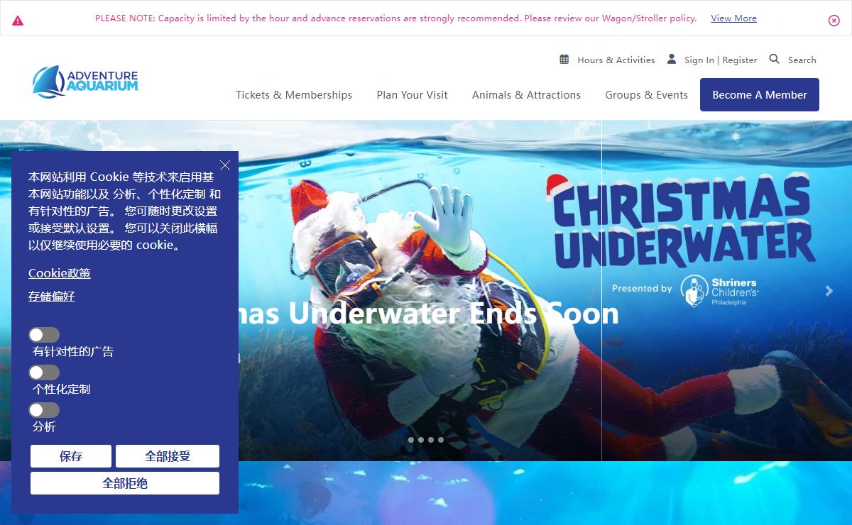 Visit the Northeast's Best Aquarium | Adventure Aquarium