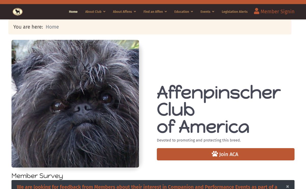 Home - Affenpinscher Club of America