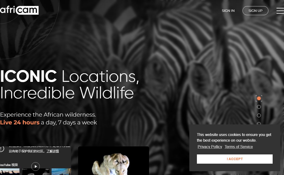 Africam - Live streams from our Wildlife cameras in South Africa, Namibia, Kenya, Zimbabwe and Botswana - Africam