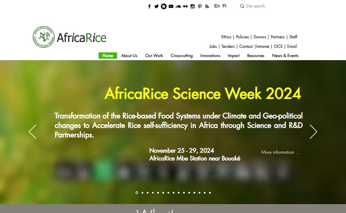 AfricaRice | Rice Research | Côte d'Ivoire