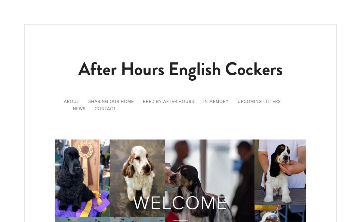 After Hours English Cockers