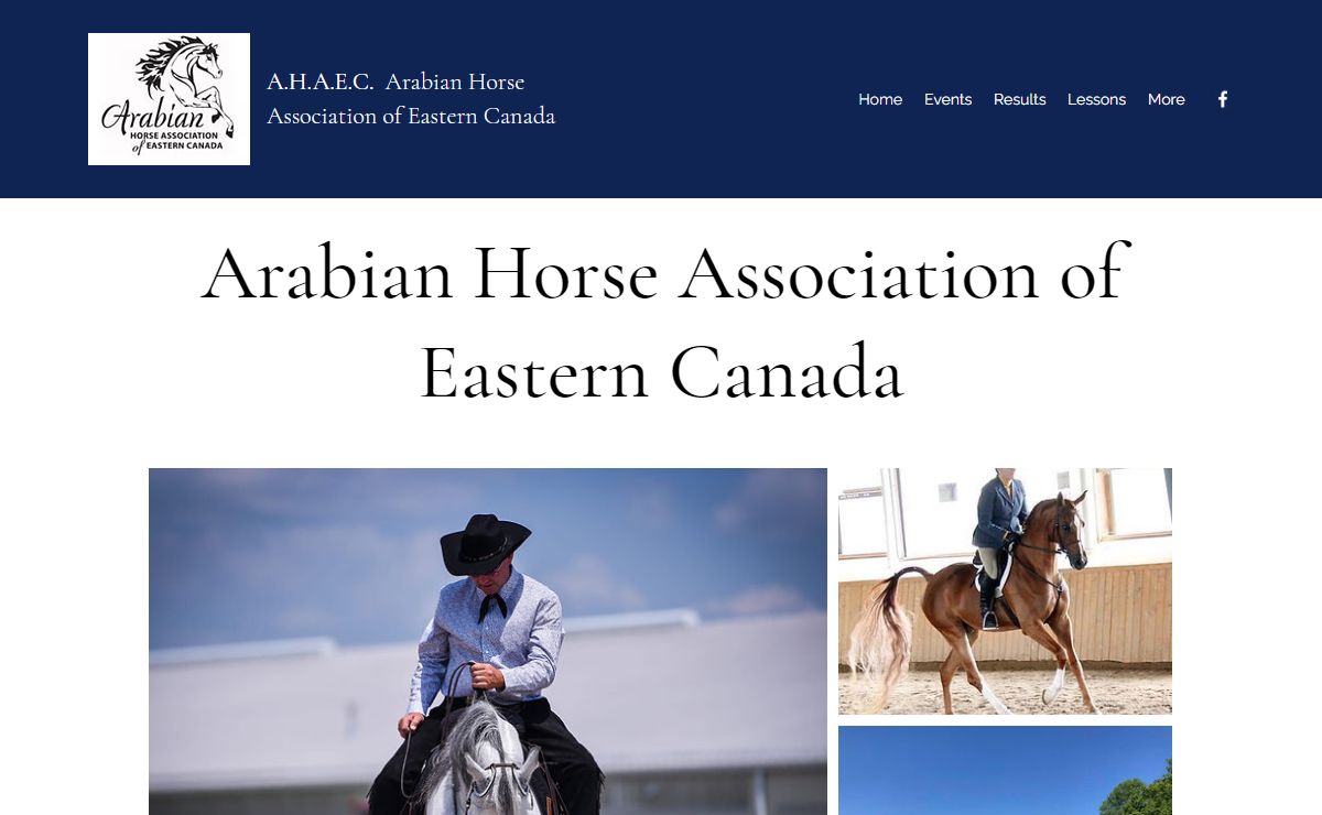 Home | A.H.A.E.C. | Arabian Horse Shows and Events | Eastern Canada