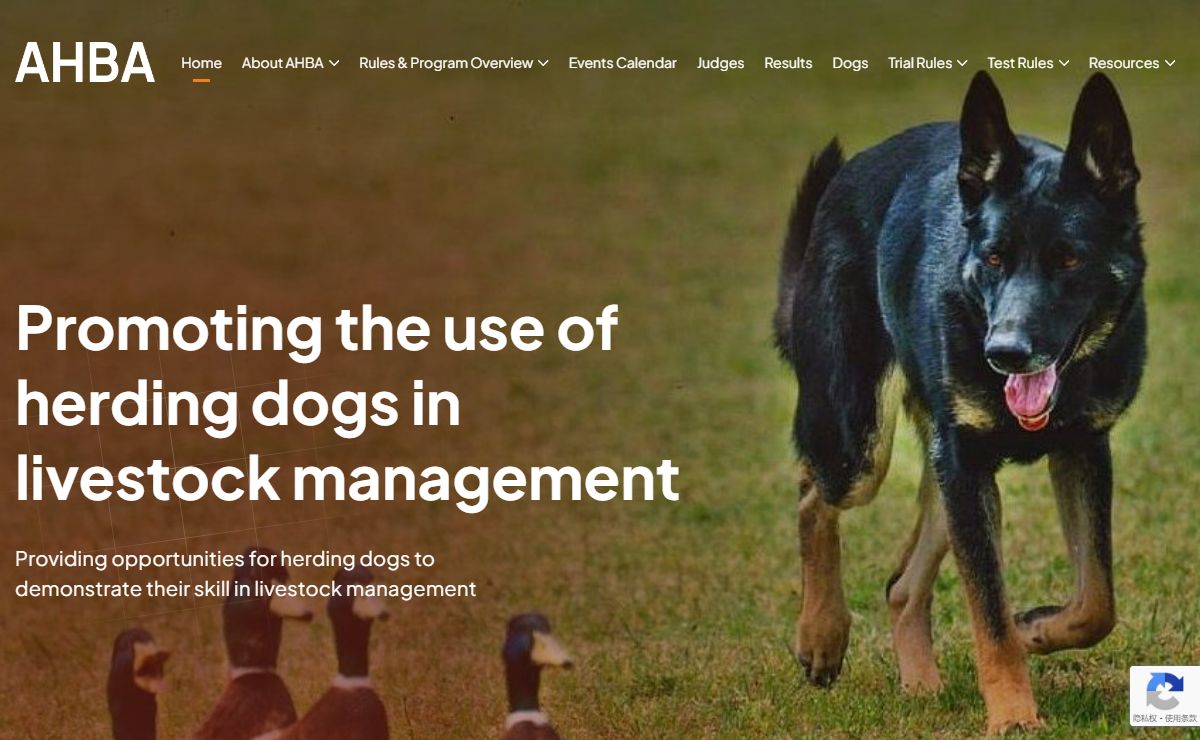 Home - American Herding Breed Association