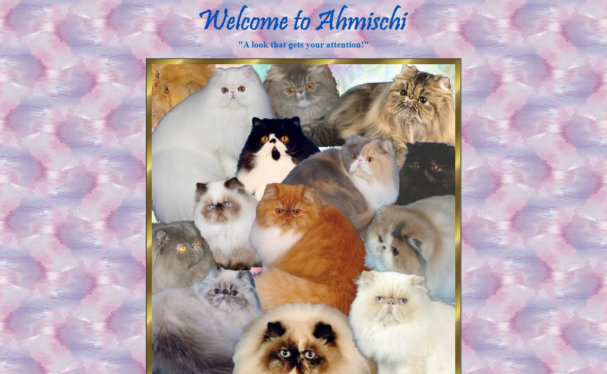 Ahmischi Persians - Index, Welcome!