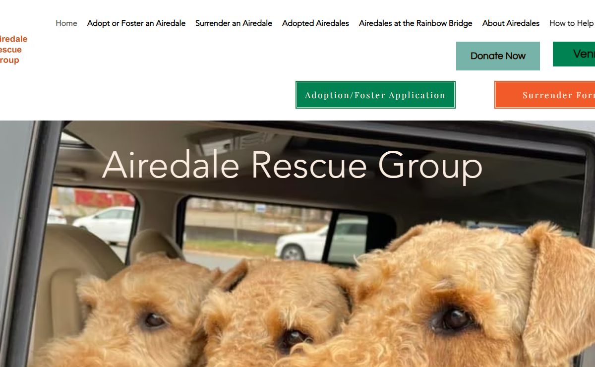 Airedale | Airedale Rescue Group