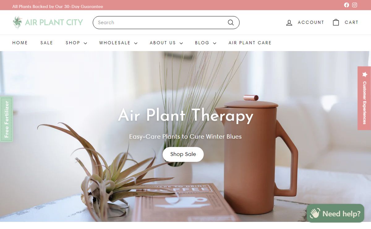 Air Plant City: Buy Air Plants & Tillandsias Online Today!