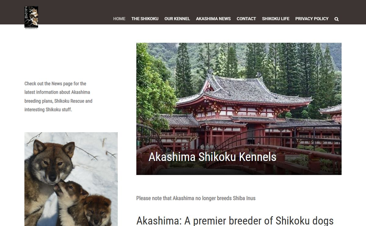 Akashima Shikoku Kennels - Akashima Shikoku Kennels