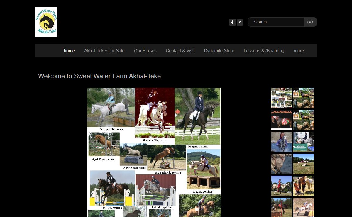 Sweet Water Farm Akhal-Teke - home