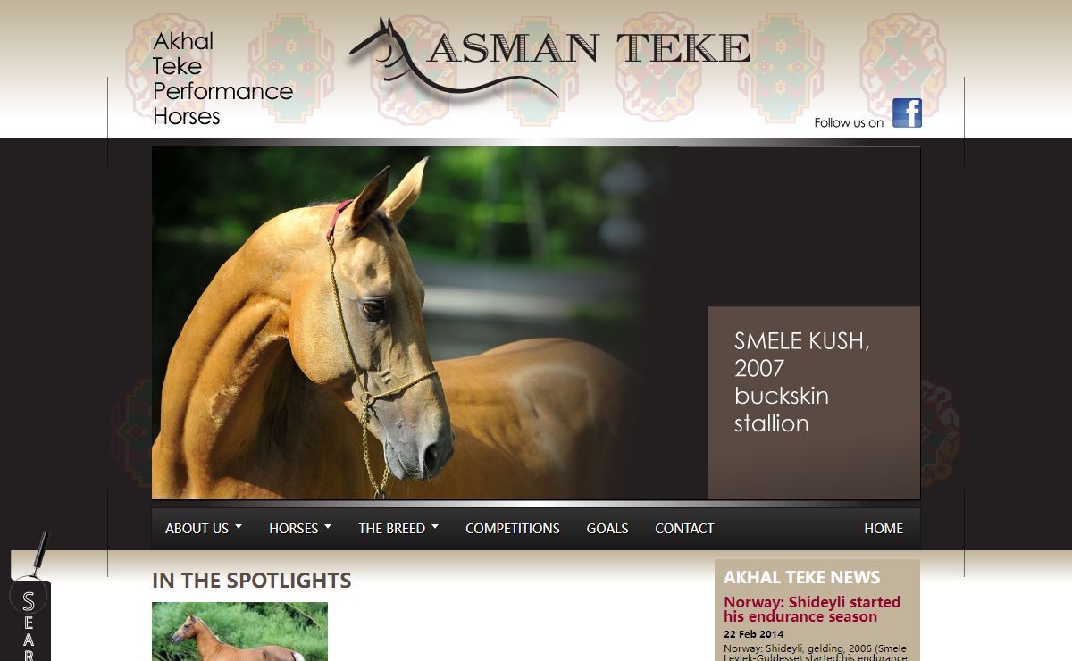 ASMAN TEKE: Akhal Tekes for Sale
