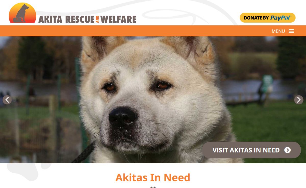 Adoption & Rehoming Akitas | Akita Rescue & Welfare UK