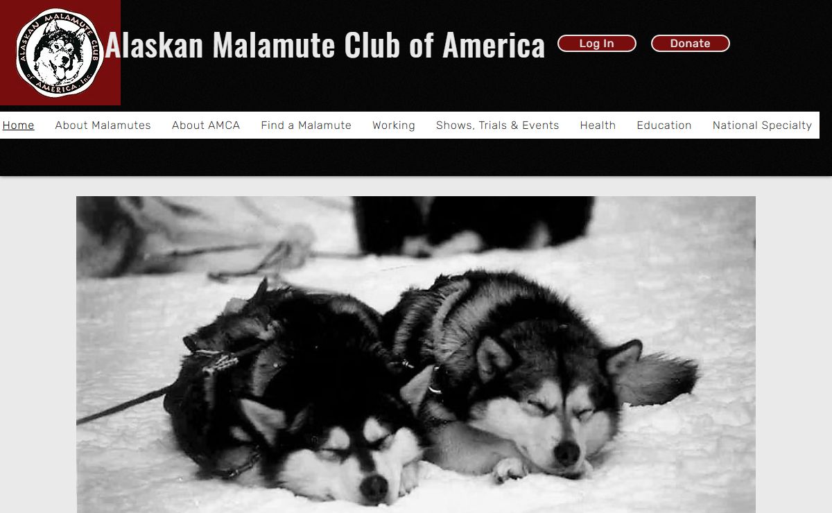 Home | AMCA Website
