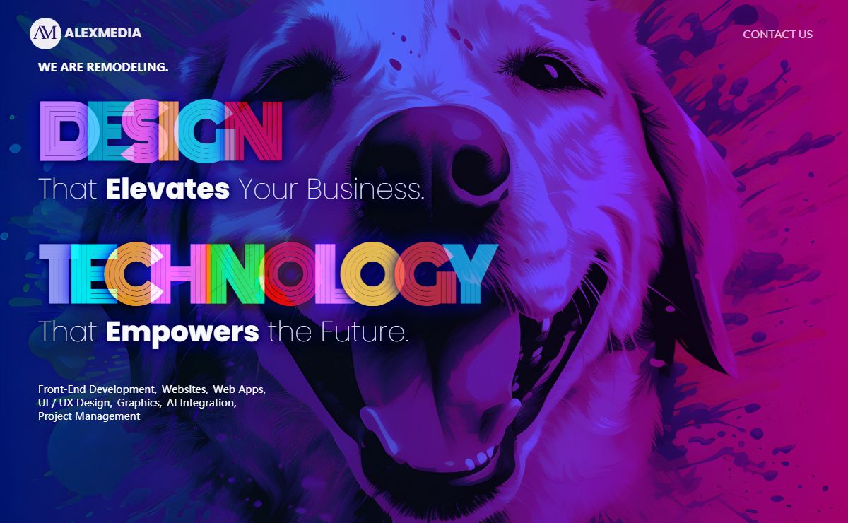 Alexmedia: Digital Agency | Web Design