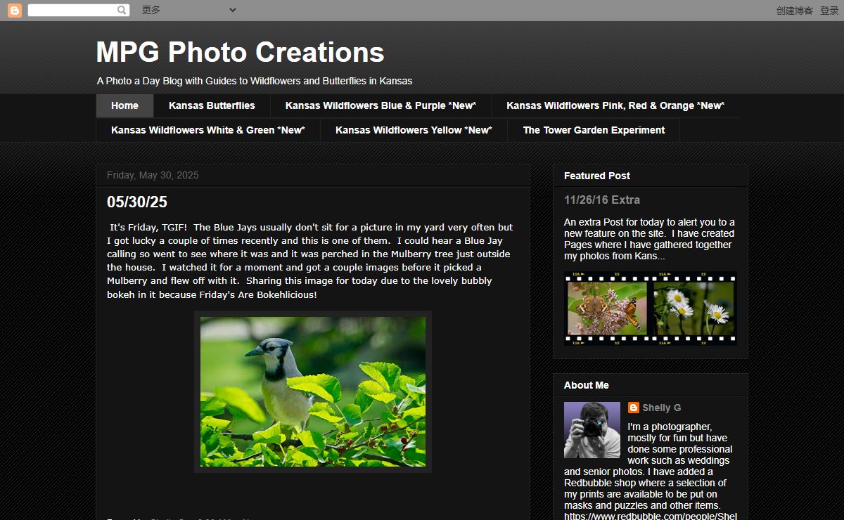 MPG Photo Creations