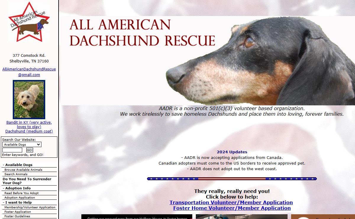 All American Dachshund Rescue