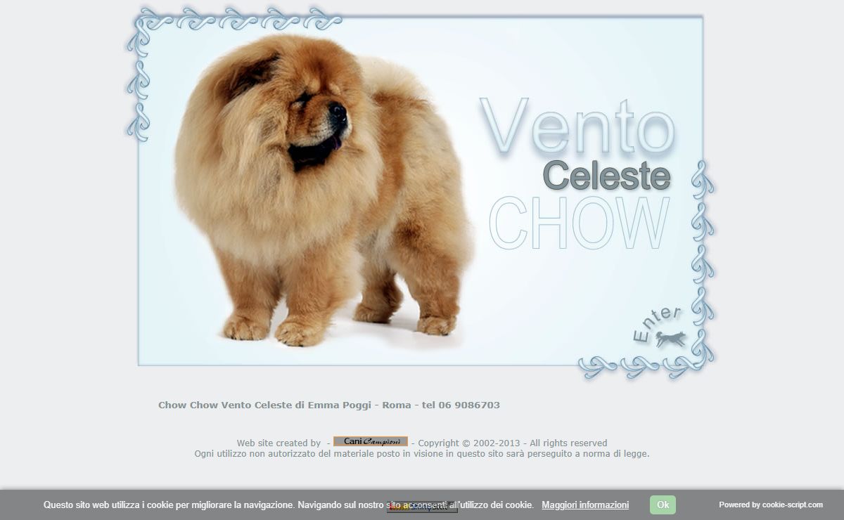 I Chow del Vento Celeste - Allevamento per la selezione del Chow Chow