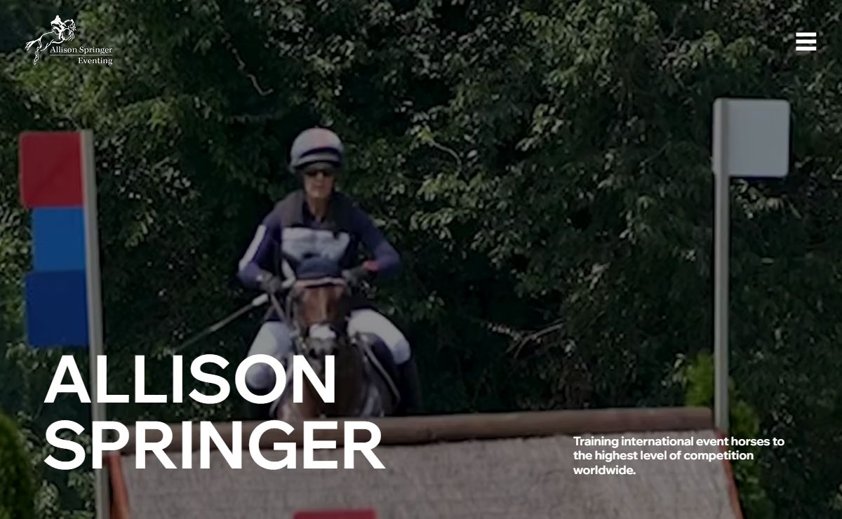 Home | Allison Springer