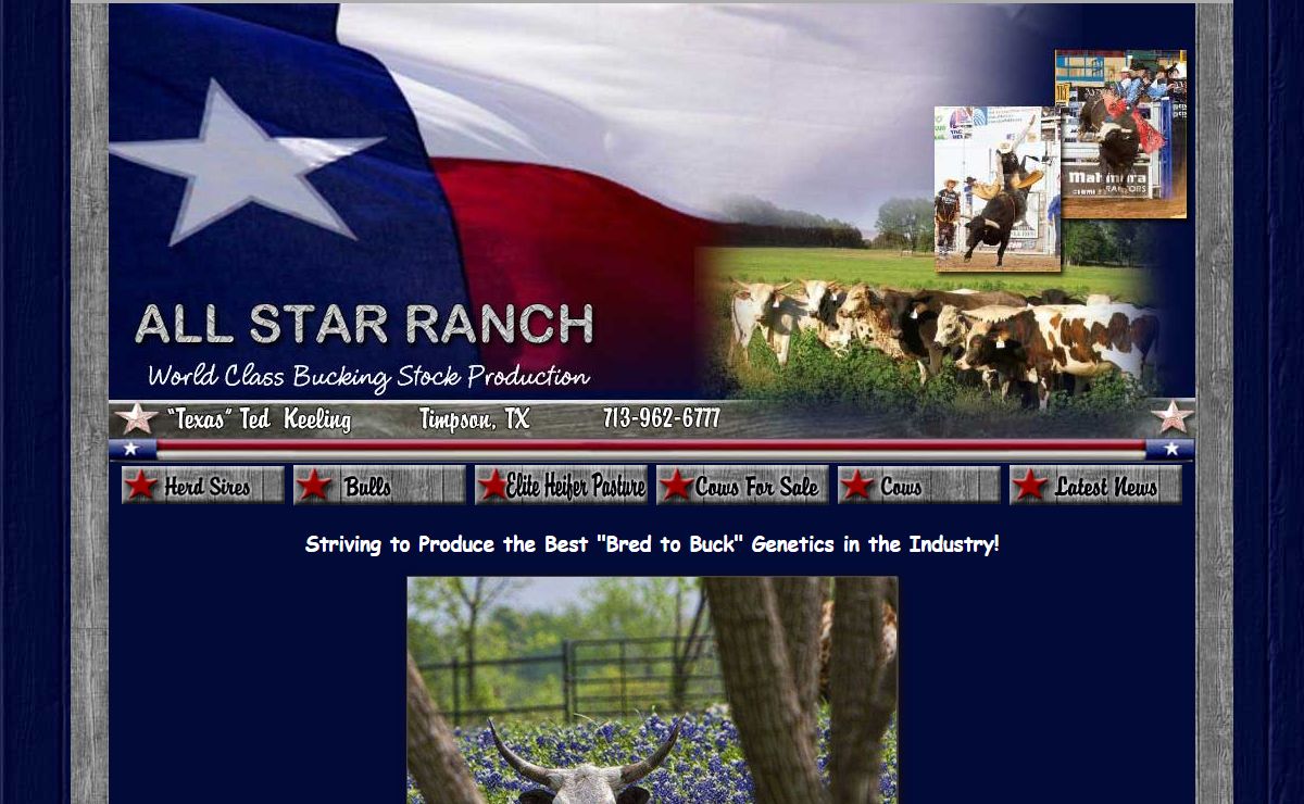 Bucking Bulls Cattle For Sale Breeding Sires All Star Ranch Timpson East Texas